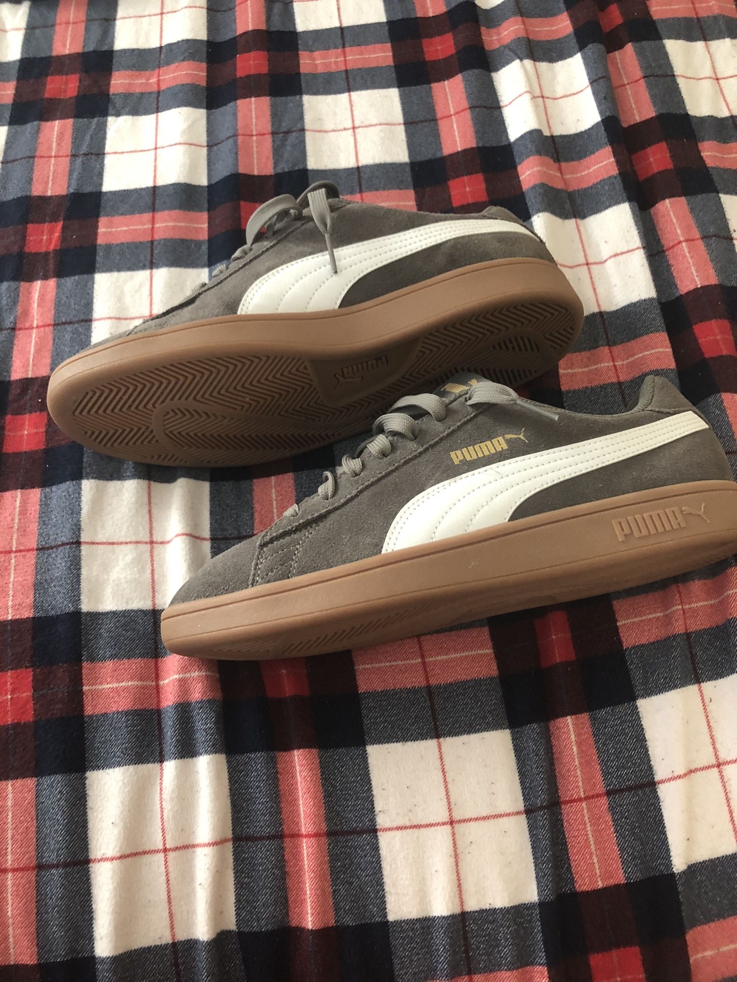 Pumas 🐆