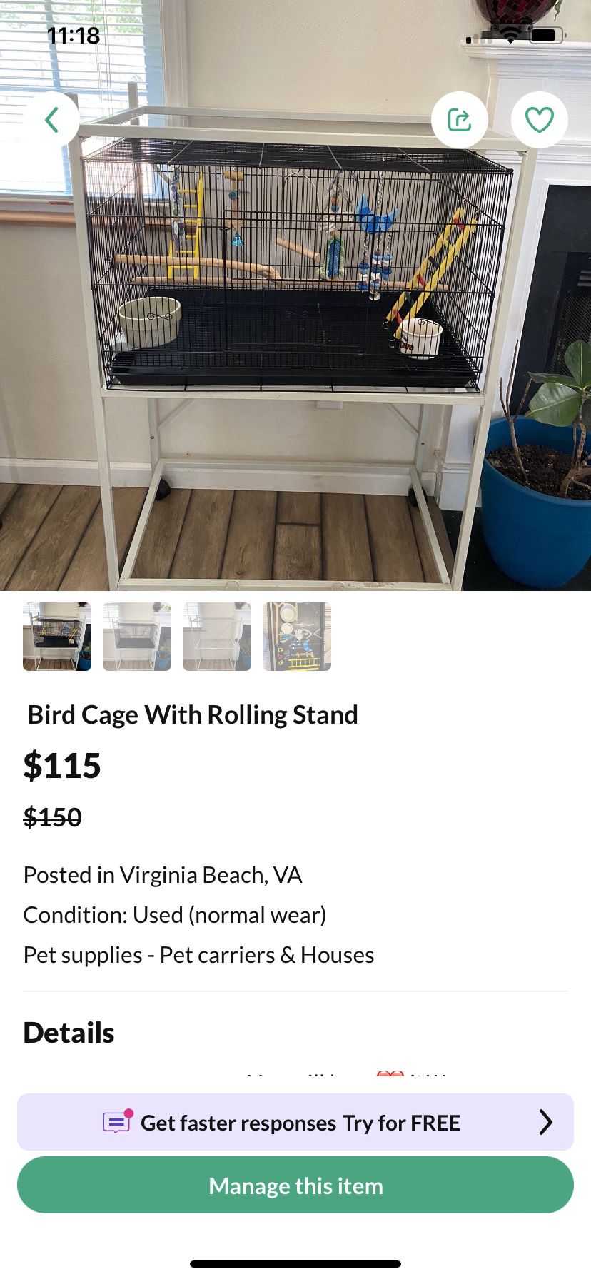 Great Bird Cage 