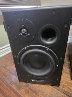 Dyna audio BM15A