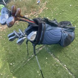 Great Adult Right Handed Guys Or Girls Golf Club Set Light Wright Graphite What’s With Standing Bag 