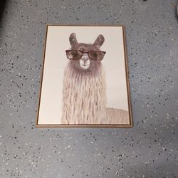 Llama Animal Canvas Framed
