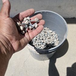 $20 Stucco Lathe Nails