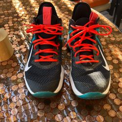 Nike Zoom  King James Basketball Shoes  9.5 