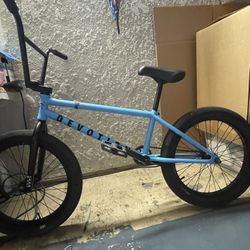 (Cavalry Blue) Cult Devotion 21”