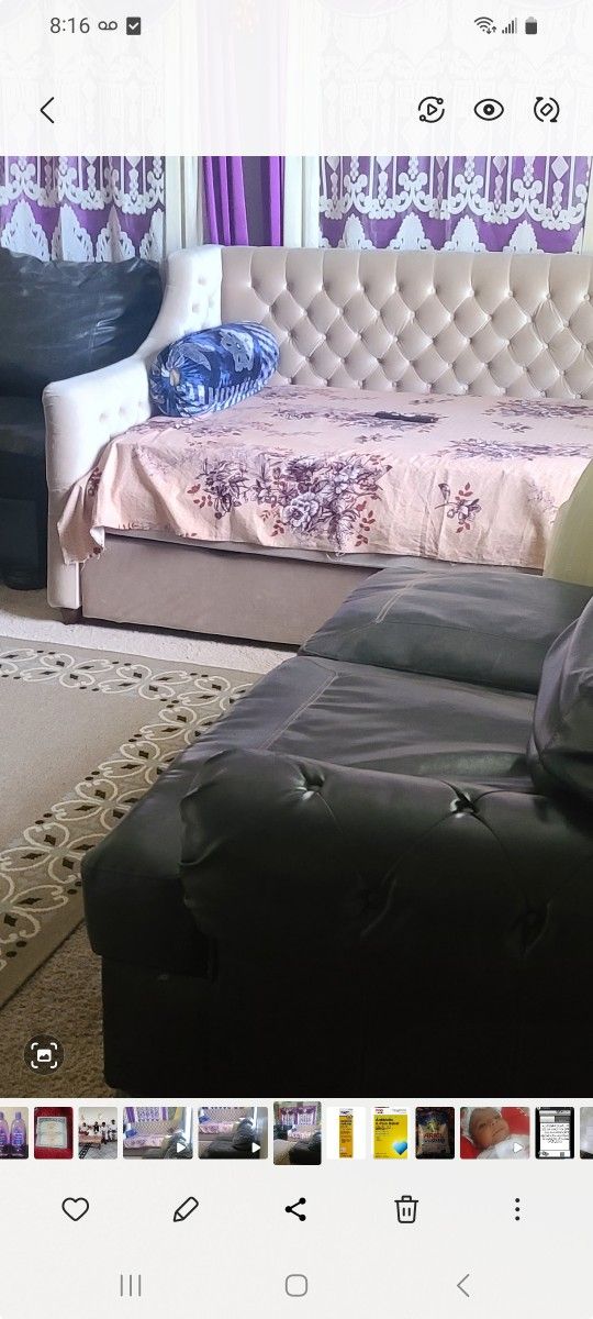 Daybed