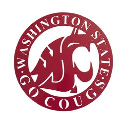 20" WSU Wall Hanging