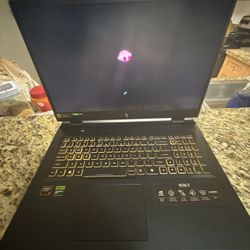 Acer Nitro 17 (gaming Laptop)