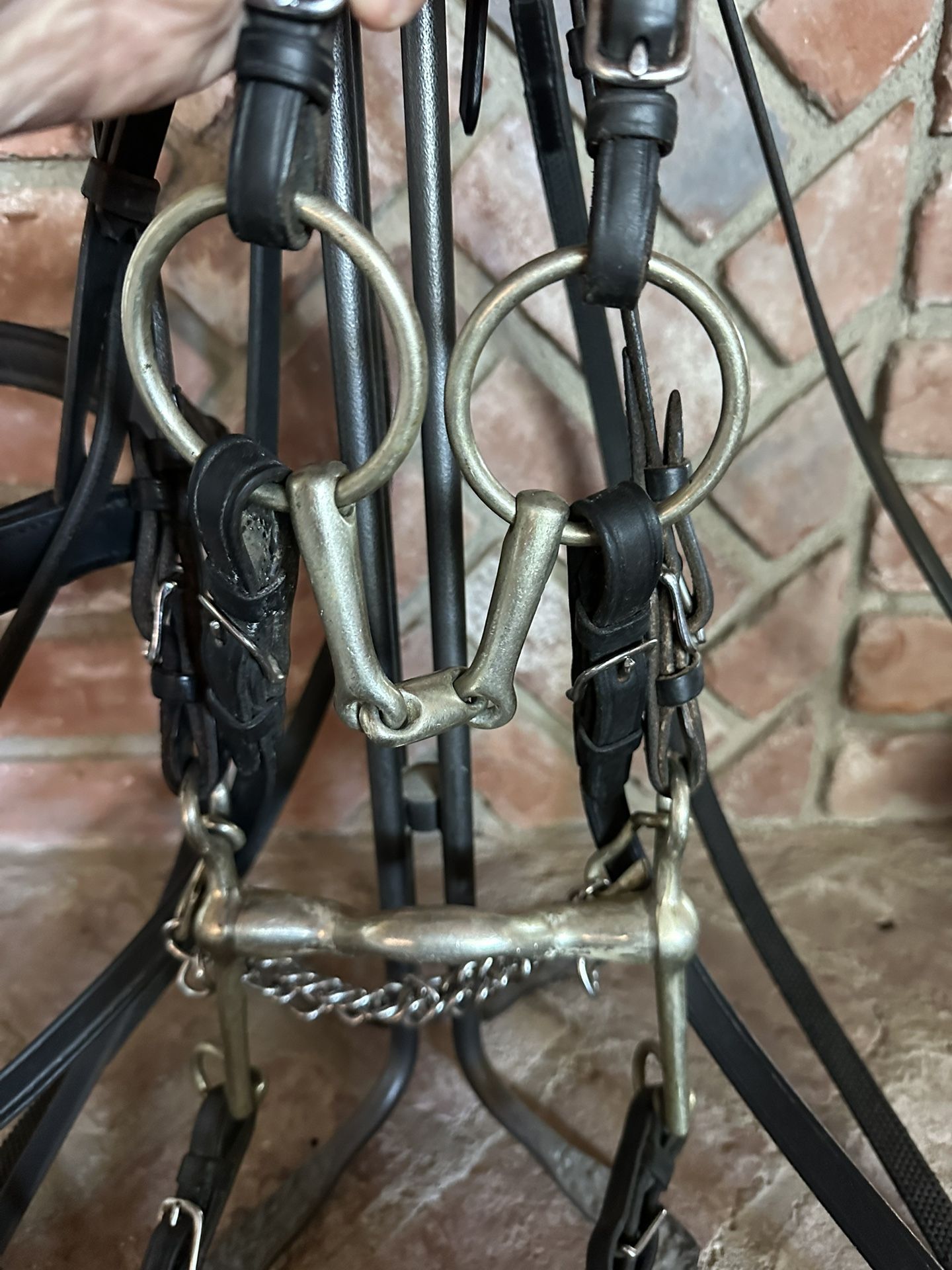 Oak Tree Dressage Double Bridle, German Silver Bits, FULL SET