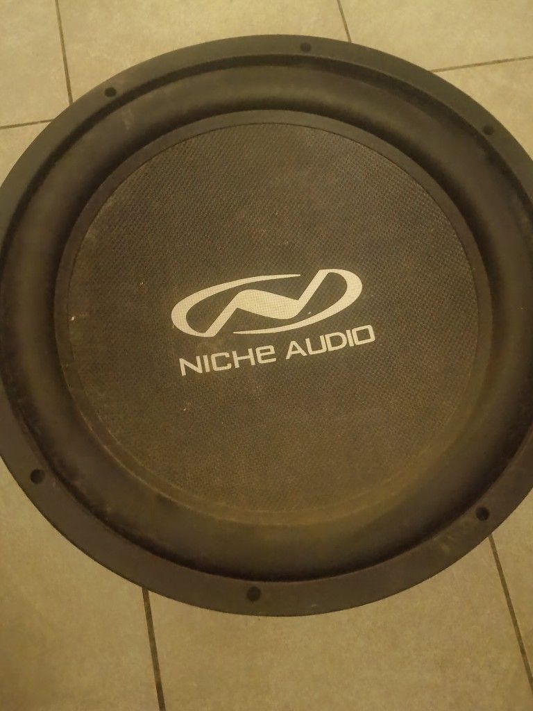 15" Niche Audio Speaker