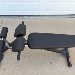 Weight Bench 