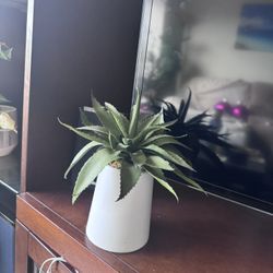 CB2 Faux Plant