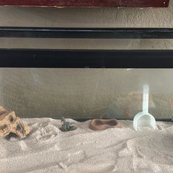 Reptile Tank