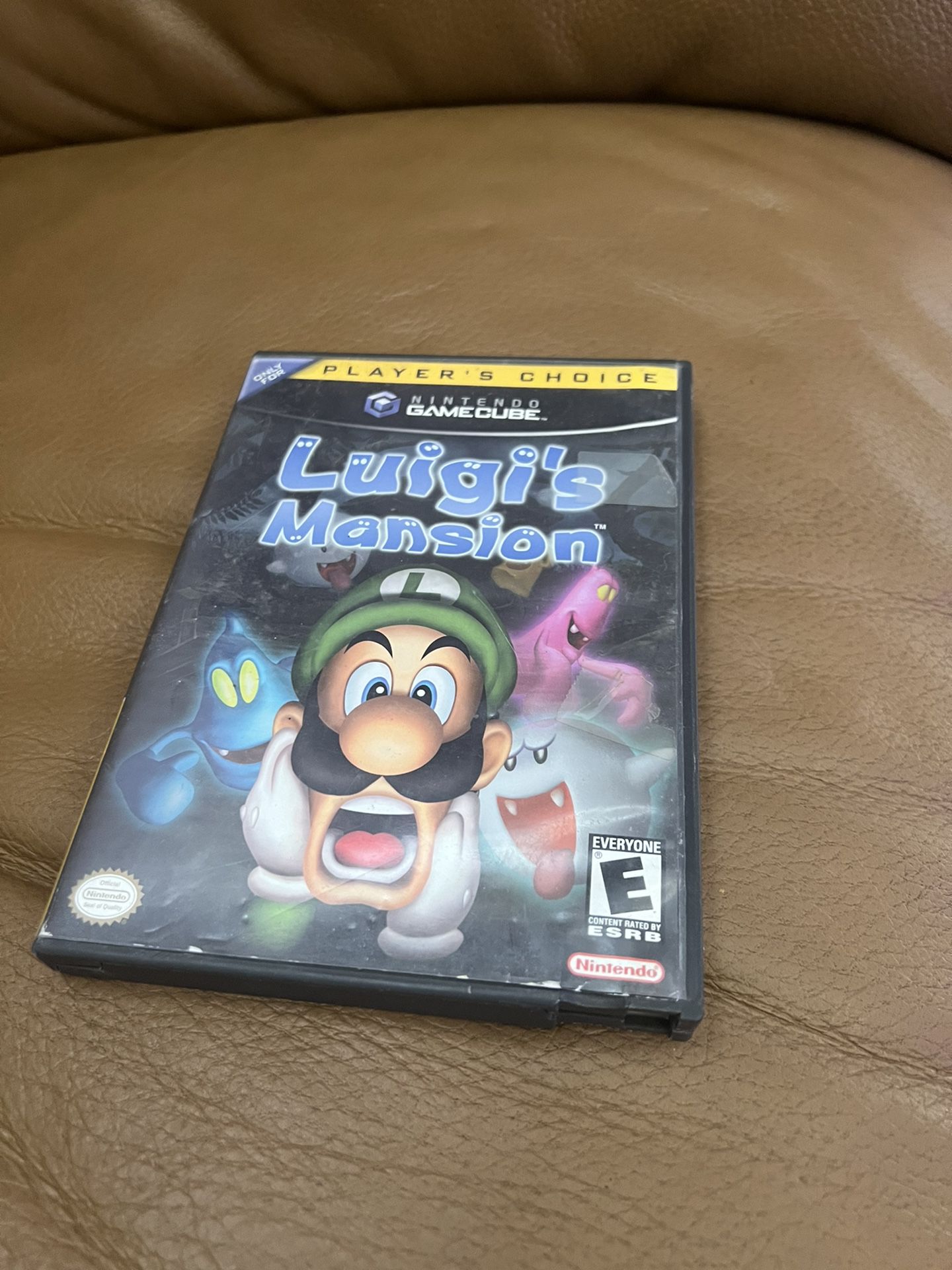 GameCube Luigi’s Mansion Box Only