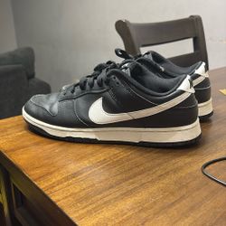 Nike Dunks Low