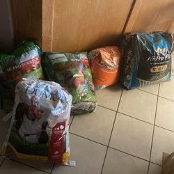 Dog food Bird food