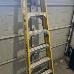 Werner Ladder 