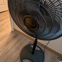 Fan