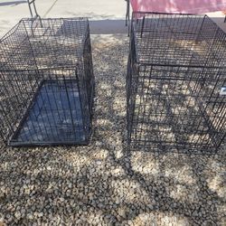 Dog Kennels