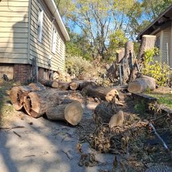 FREE wood In Peoria!!!