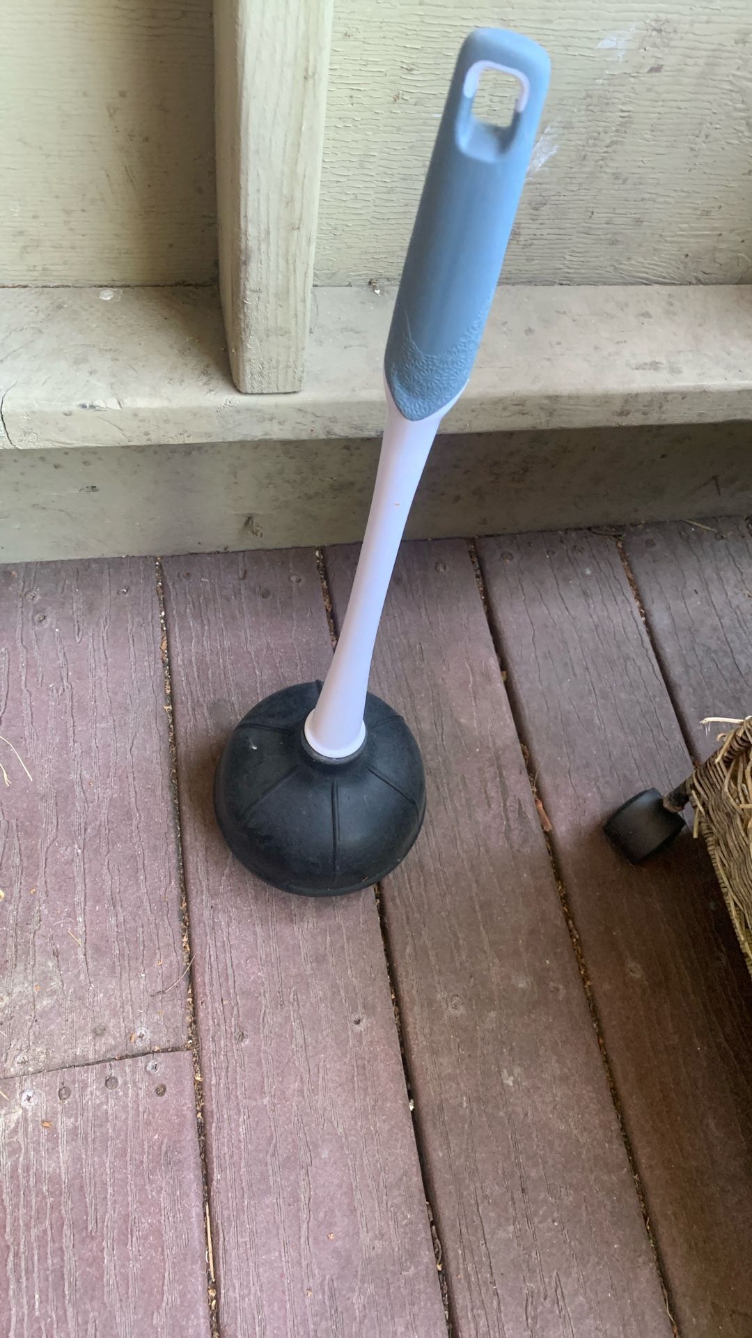 Plunger