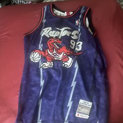 Raptors 93 Jersey