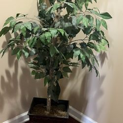 Artificial Silk Plant