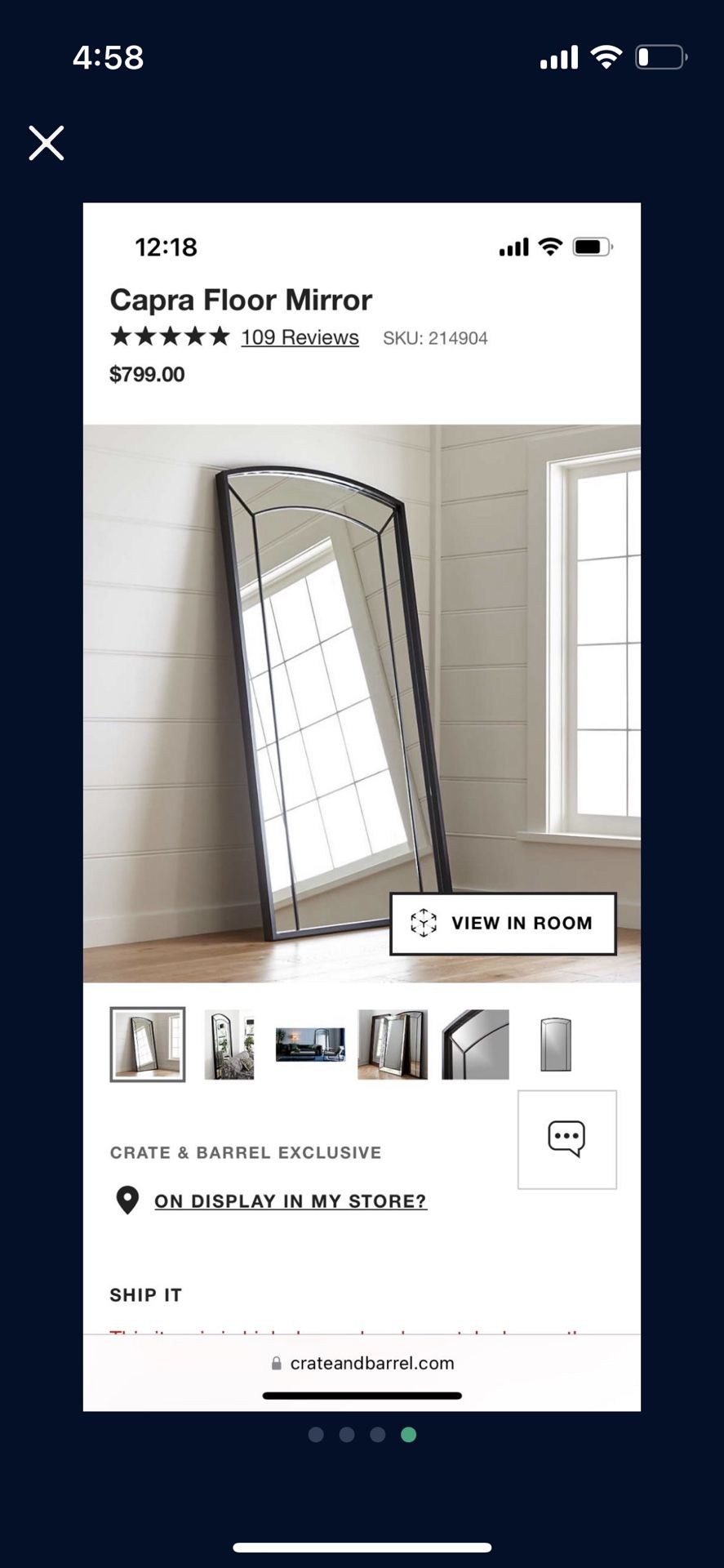 Crate and Barrel Capra Floor Mirror