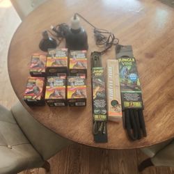 lizard lights and acc