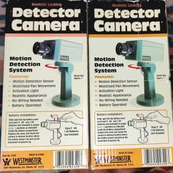 Detector Camera