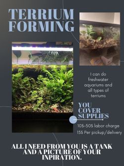 terrarium building service
