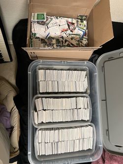 Sports cards (500+ cards)