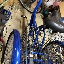 Adult tricycle 