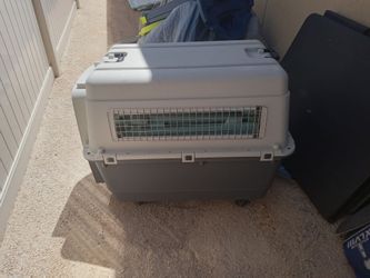 Large Hard-Shell Pet Travel Crate