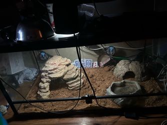 Snake cage