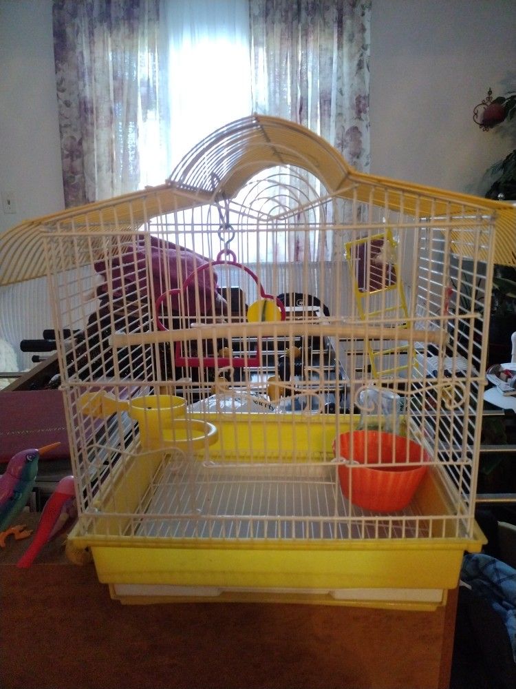 Bird Cage