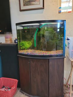 10 GALLON FISH TANK WITH EXTRAS for Sale in Lacey, WA - OfferUp