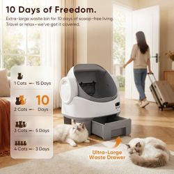 Automatic Cat Little Box, New