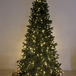 7.5 ft Wesley Long Needle Pine LED Pre-Lit Christmas Tree – Great Condition!