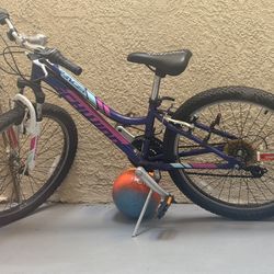 Bicycle 24 Inches