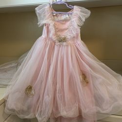 Butterfly Fairy Dress with accessories