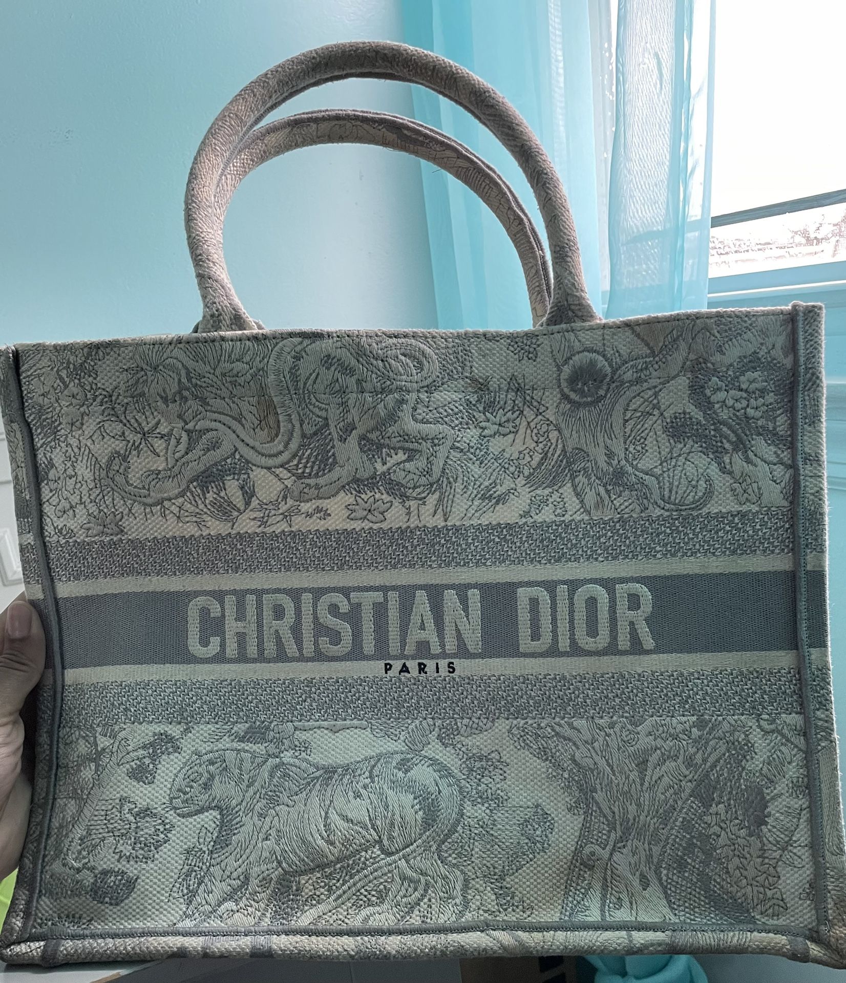 Christian Dior Bag