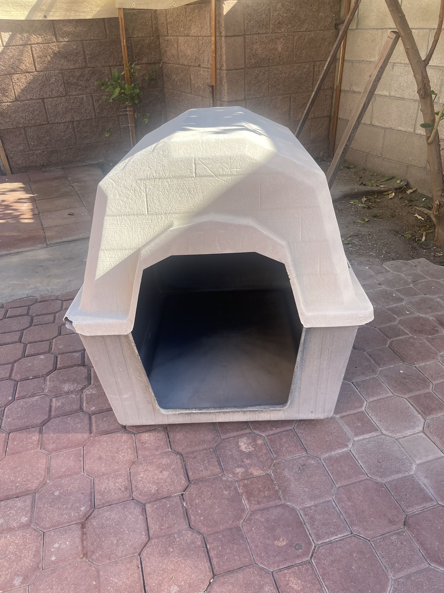 Dog House