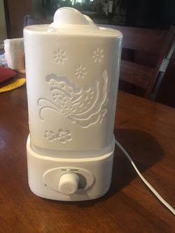 Steamer, purifier