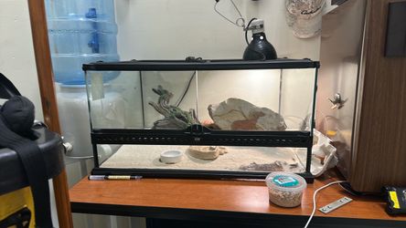 Tank gecko accessories