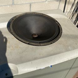 15 Inch Speaker