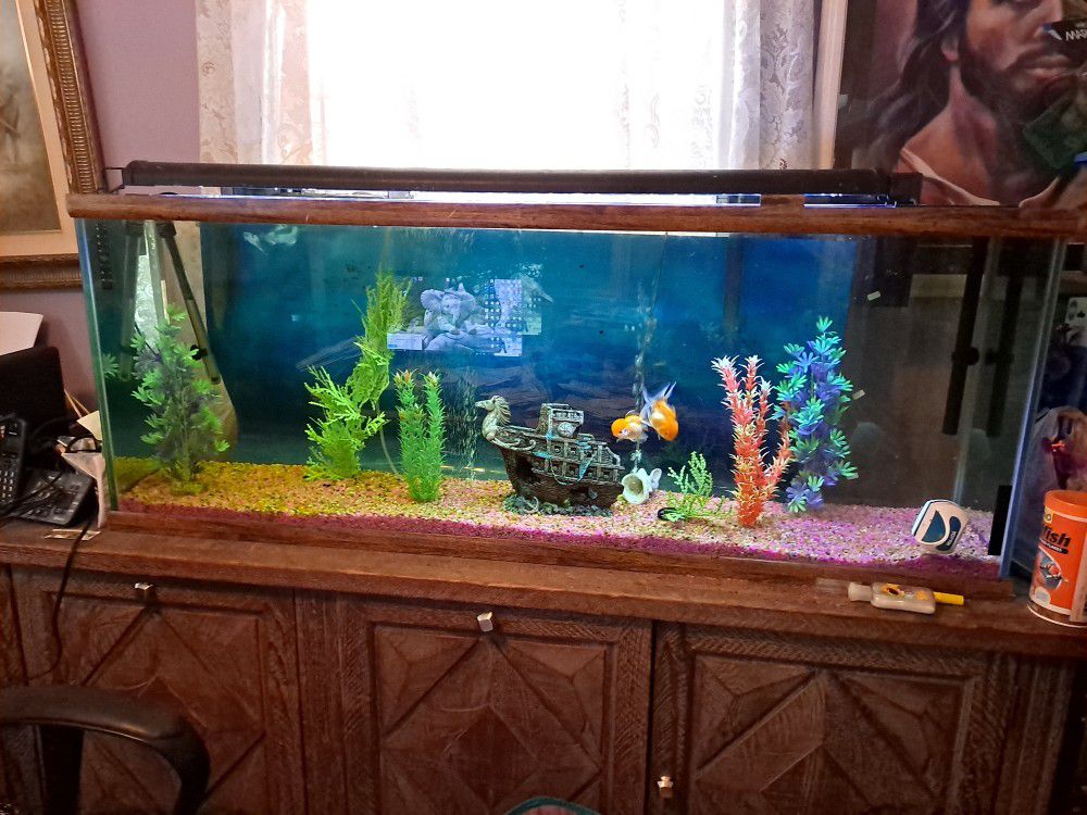 FREE 70 gallon long fish aquarium tank