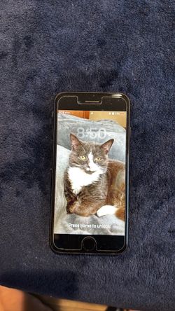 iPhone SE