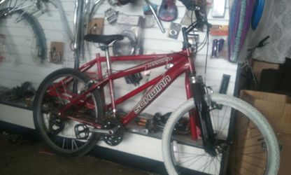Schwinn# 24