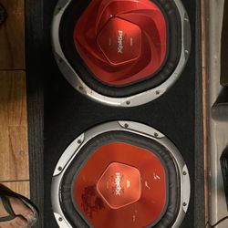Double 12 inch Sony Xplode Subwoofer