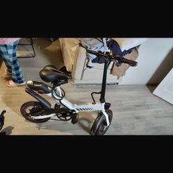 Electric Bike 
